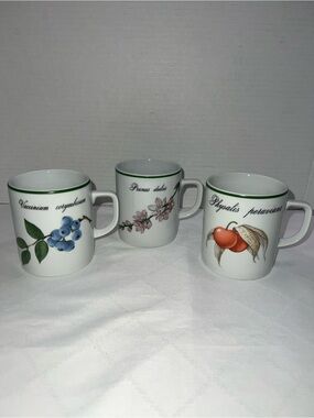 APILCO ELYSIAN GARDENS FRANCE MUG 12 OZ ROUND HANDLE SET OF 3 NEW